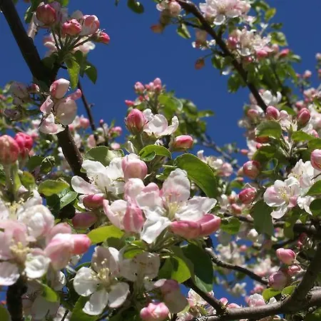 Djurviks Gästgård Semesterbostad *